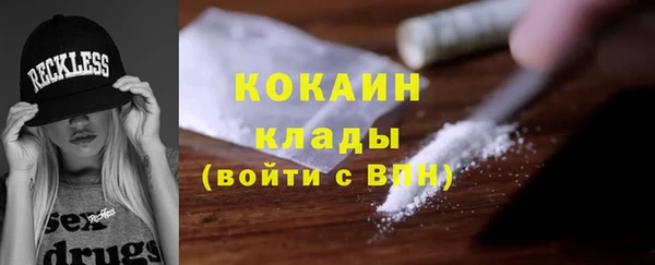 шишки Аркадак