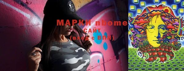 шишки Аркадак