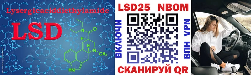 дарк нет телеграм  Аша  ЛСД экстази кислота 