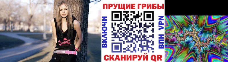 купить закладку Аша Псилоцибиновые грибы Psilocybine cubensis
